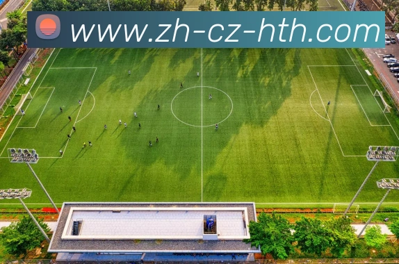 App Interface Preview