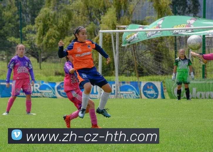 华体会登录入口APP 封面图